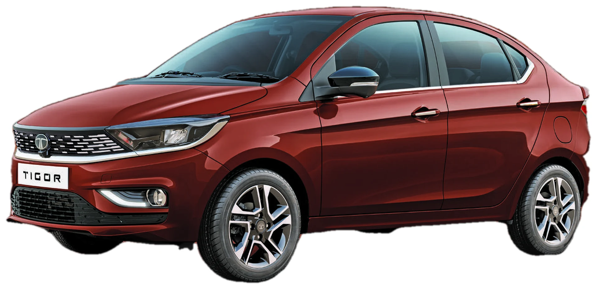 Tigor — photo